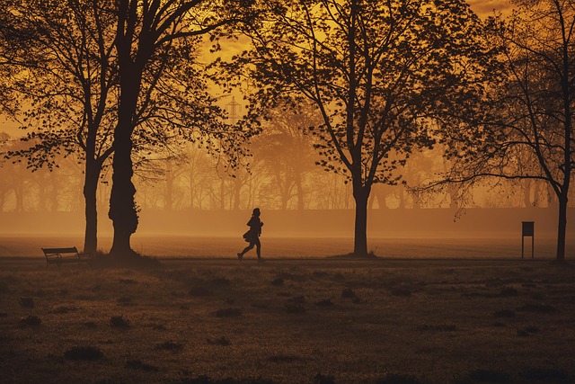 sports education beginner fitness guide mobility outdoor Ireland